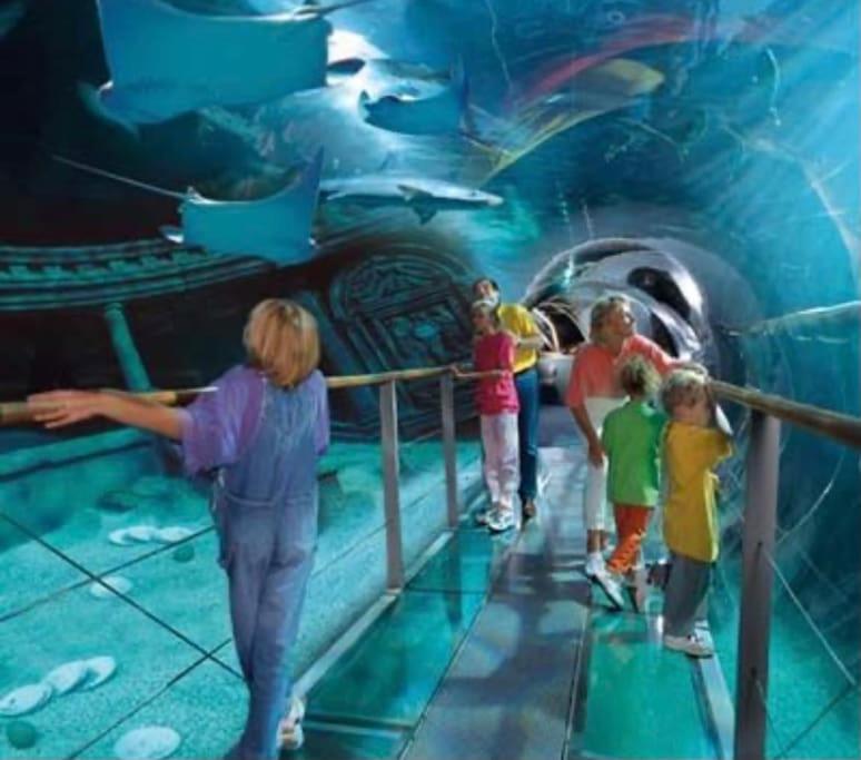 Disney cocooning à 5 minutes du Parc