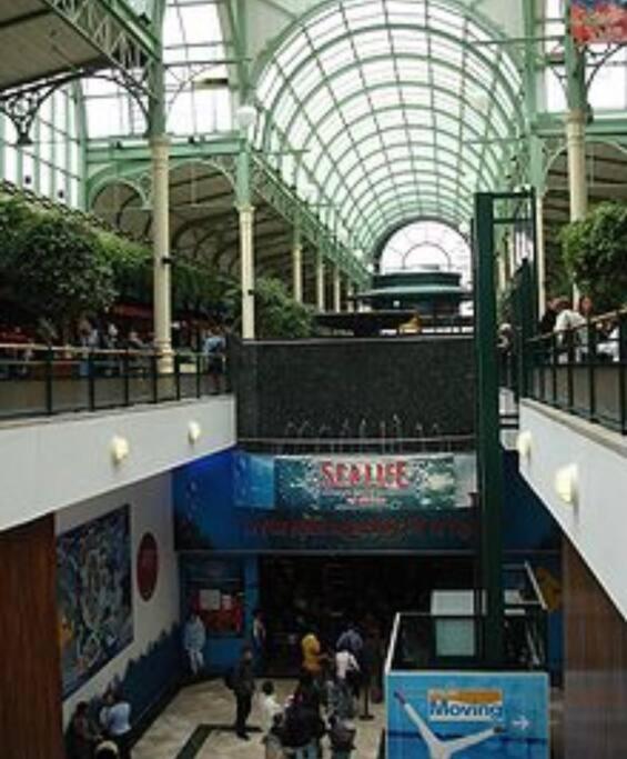 Disney cocooning à 5 minutes du Parc