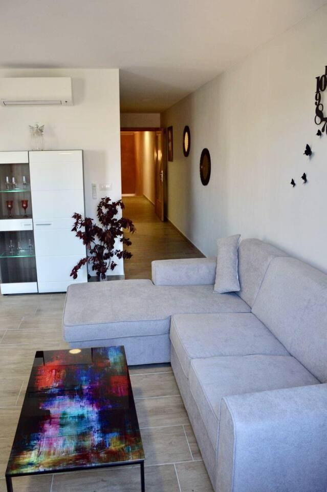 Old town apartment Popovic