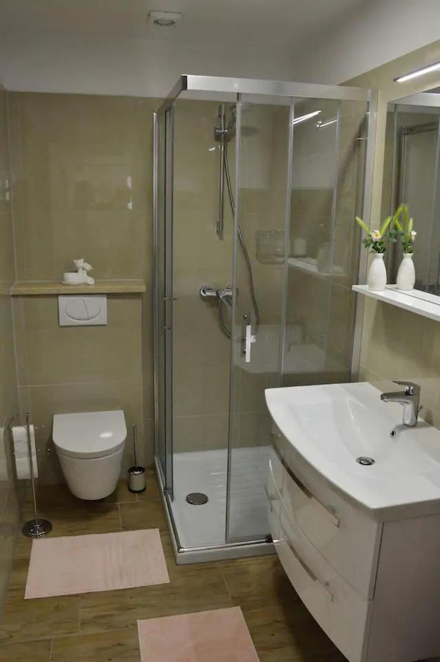 Old town apartment Popovic