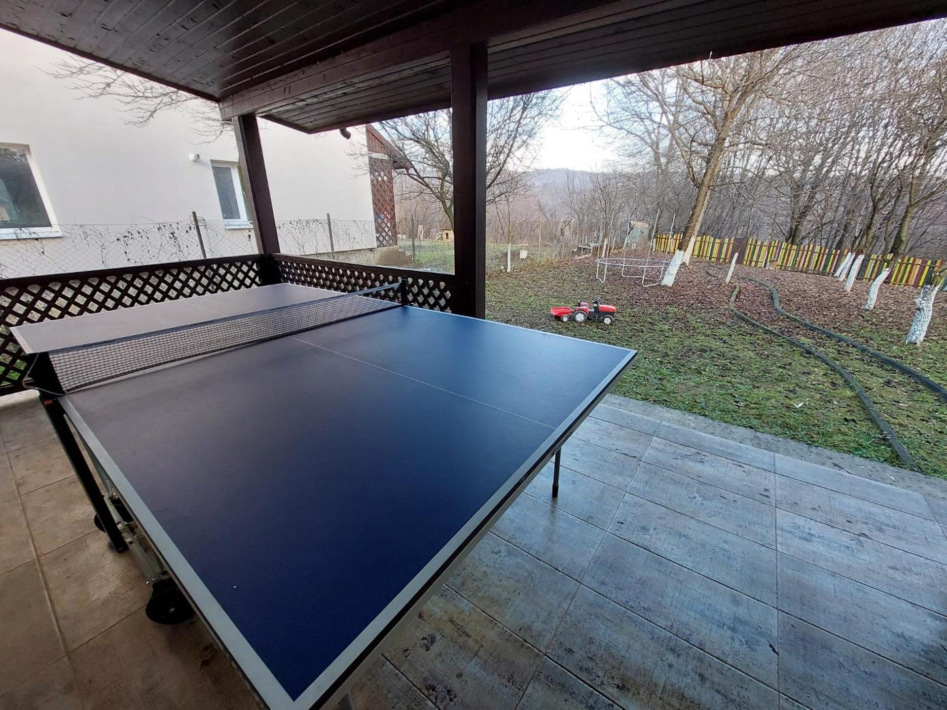 Table tennis