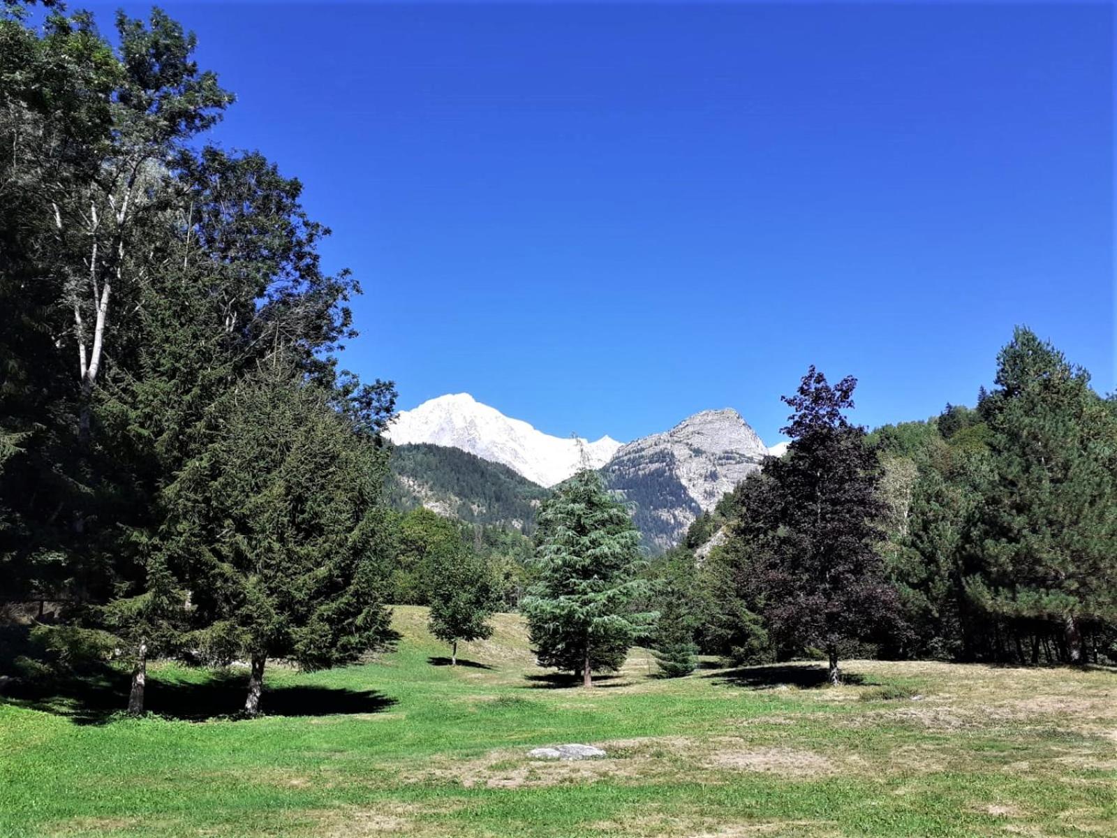 Appartamento con 1 Camera da Letto