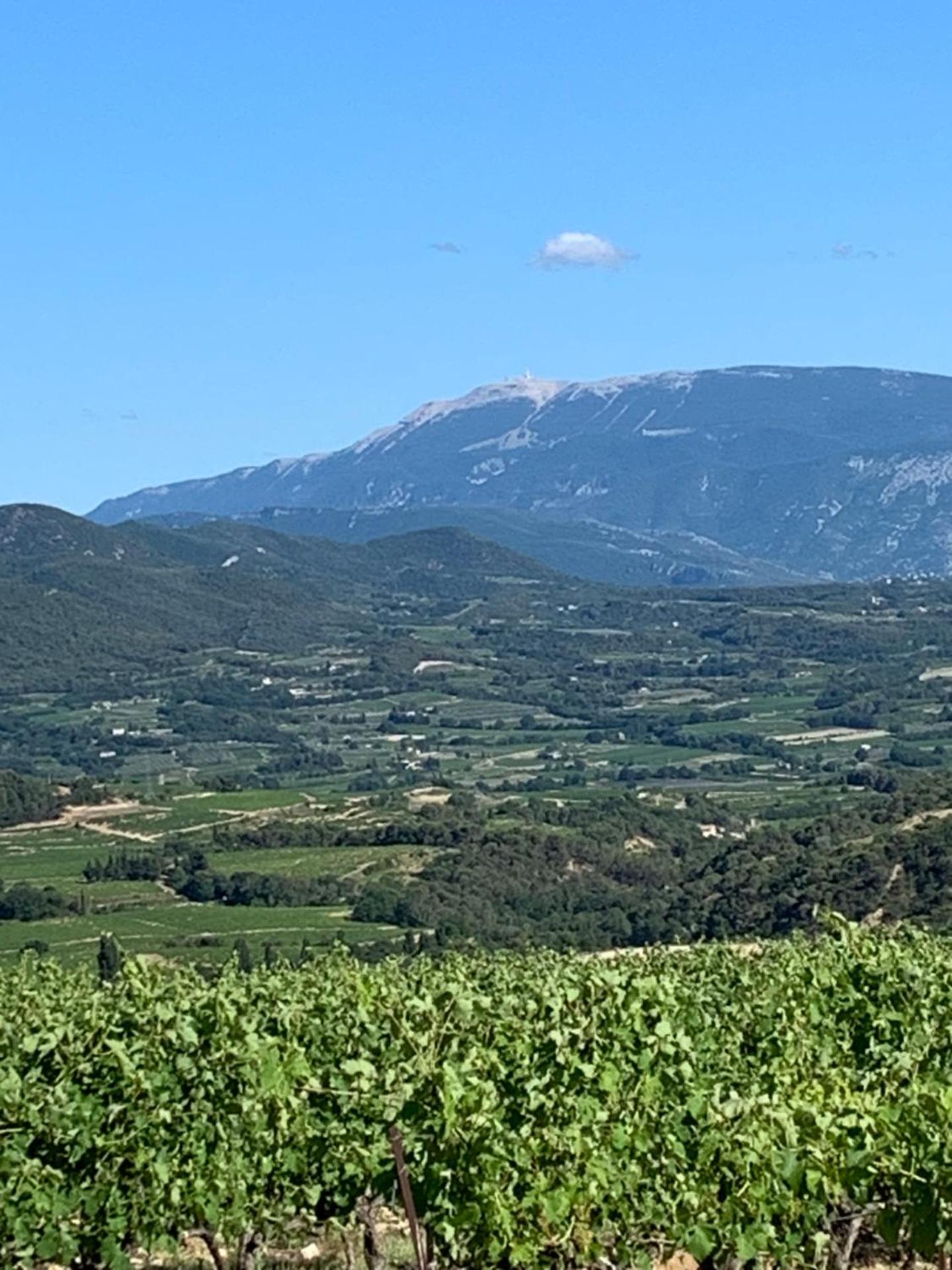 Entre Ciel Et Nature