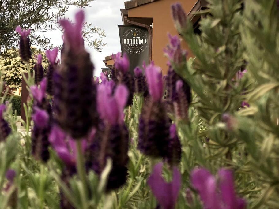 Yuhom, casas con alma. Xacedos 3