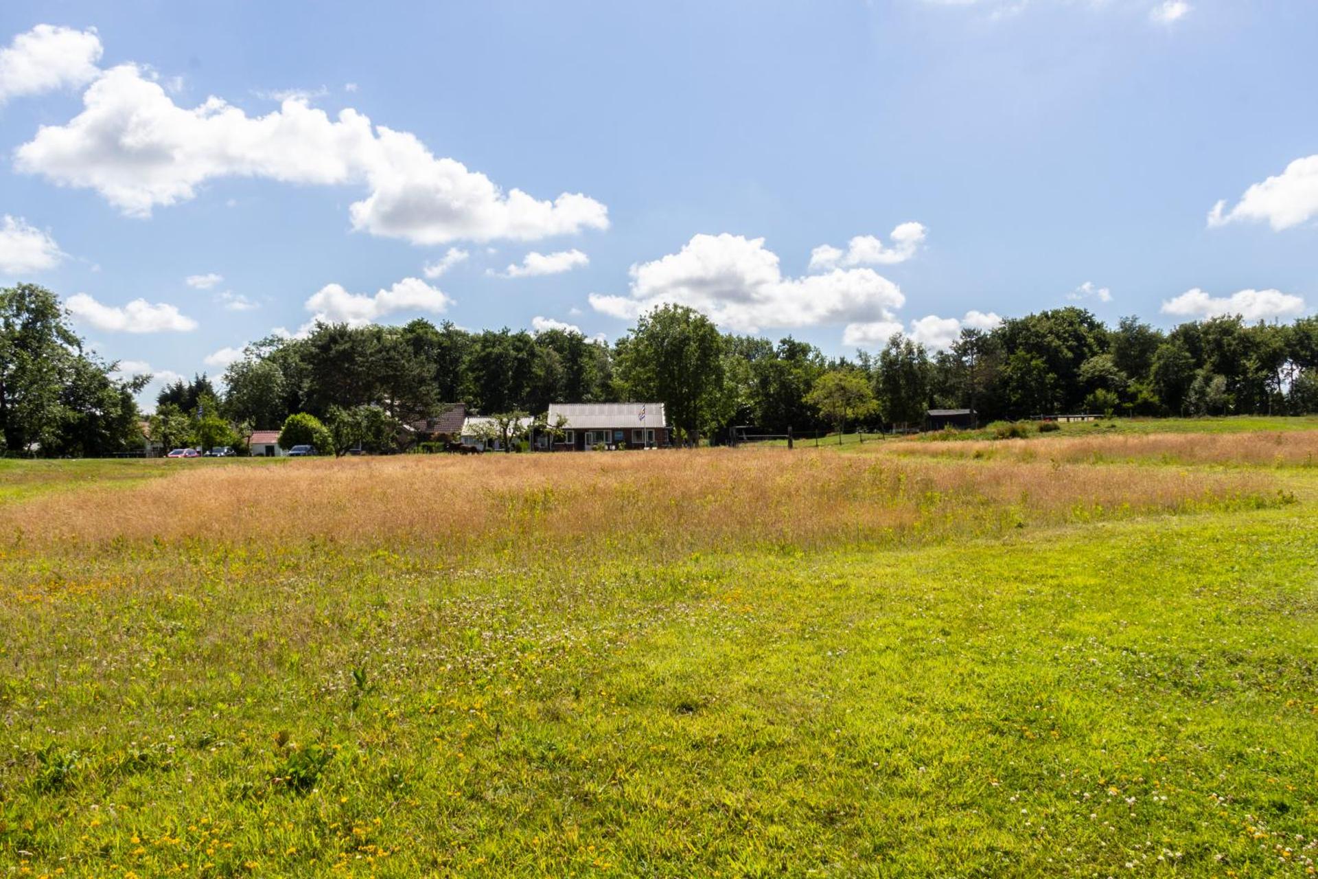 Little Creek - Lodges in het natuurgebied