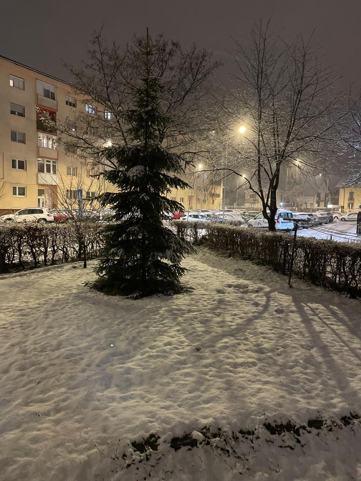 Inner courtyard view