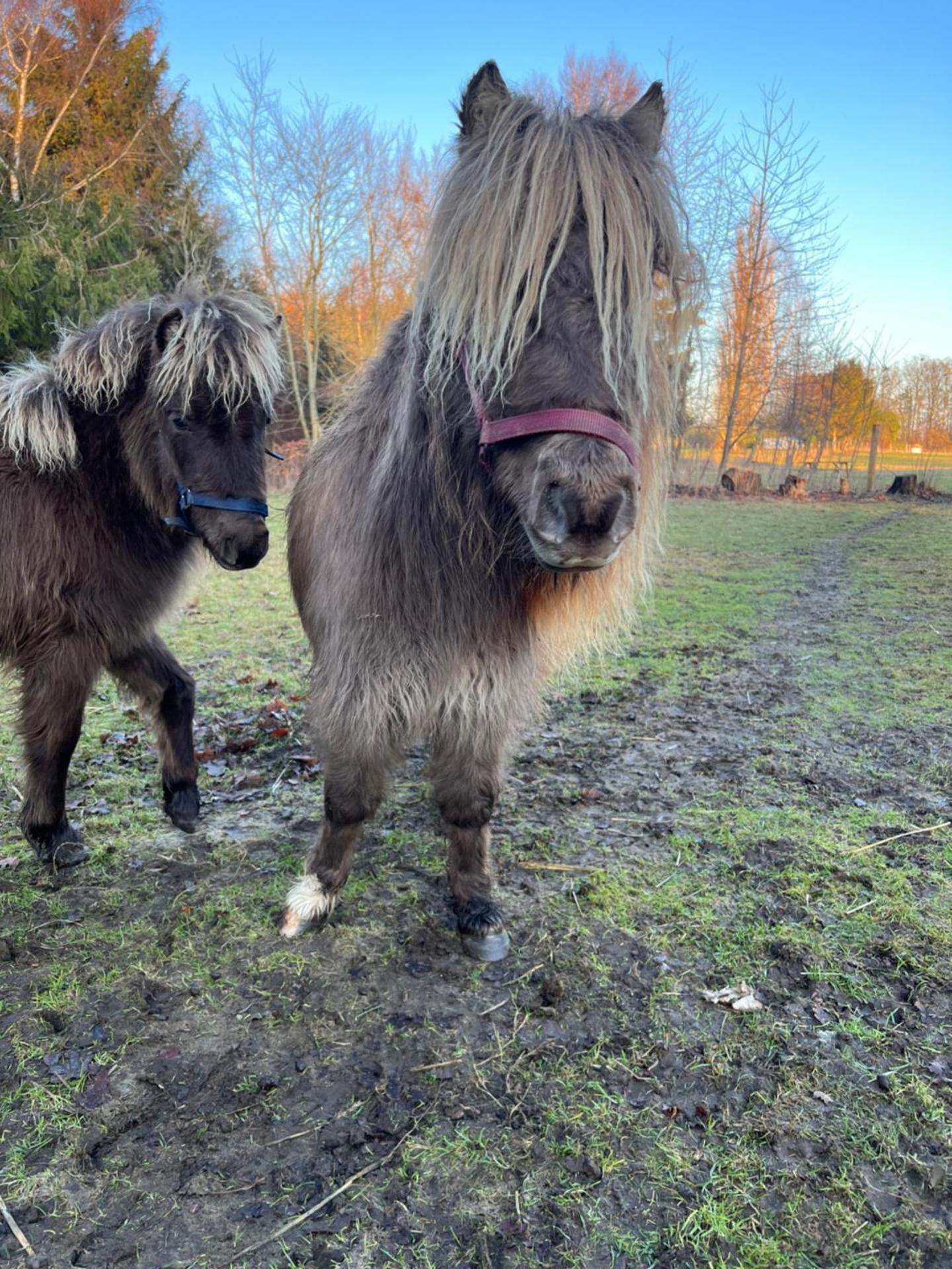 Troldegaarden Guesthouse