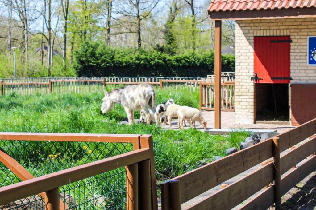Tof wellness huis, alles nieuw, gelegen bij meer.