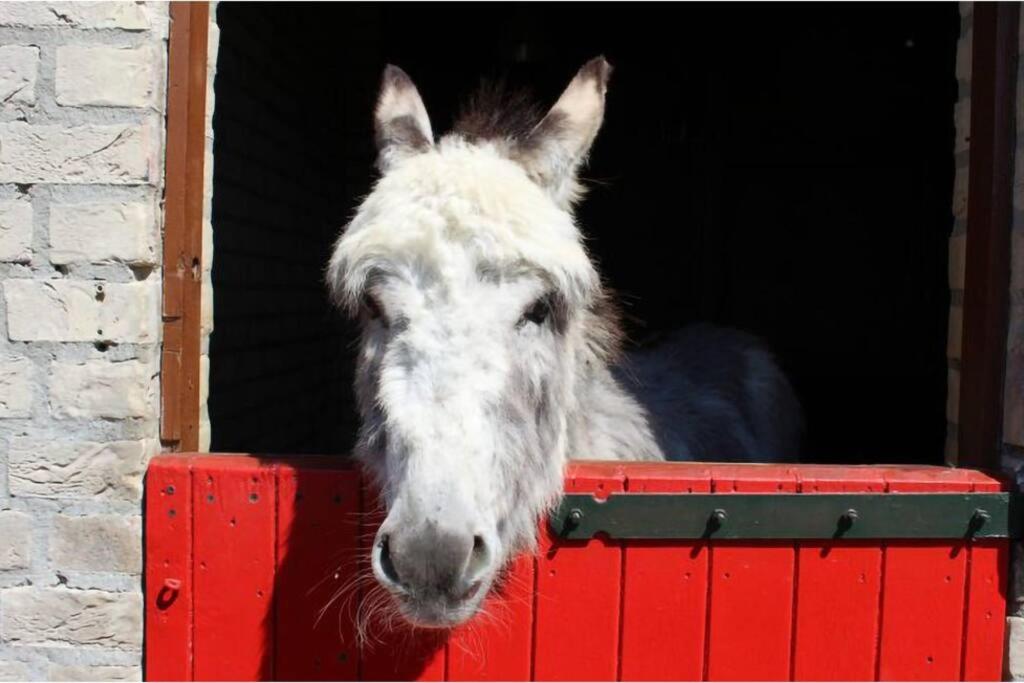 Tof wellness huis, alles nieuw, gelegen bij meer.