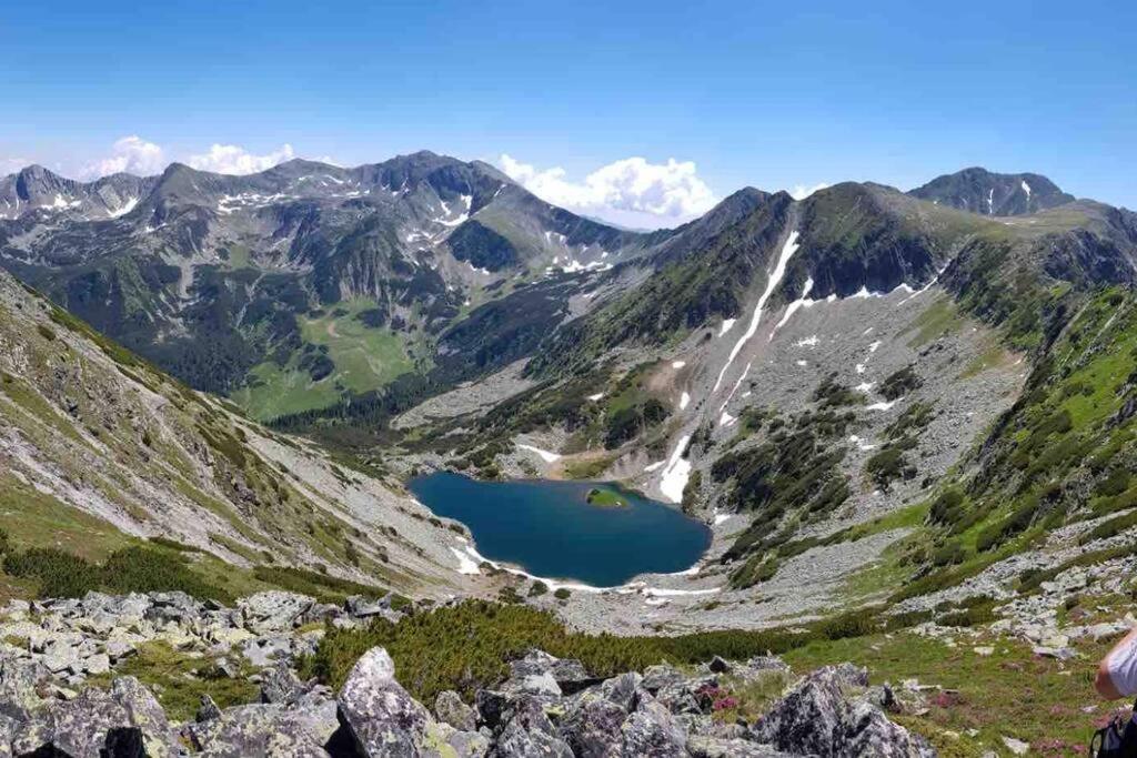 Warm and cozy studio flat near Straja