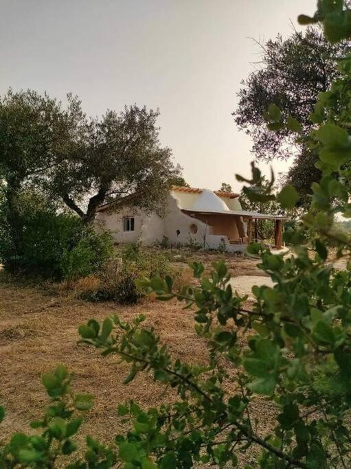 Quinta Terramadome: Dome incomum & responsável