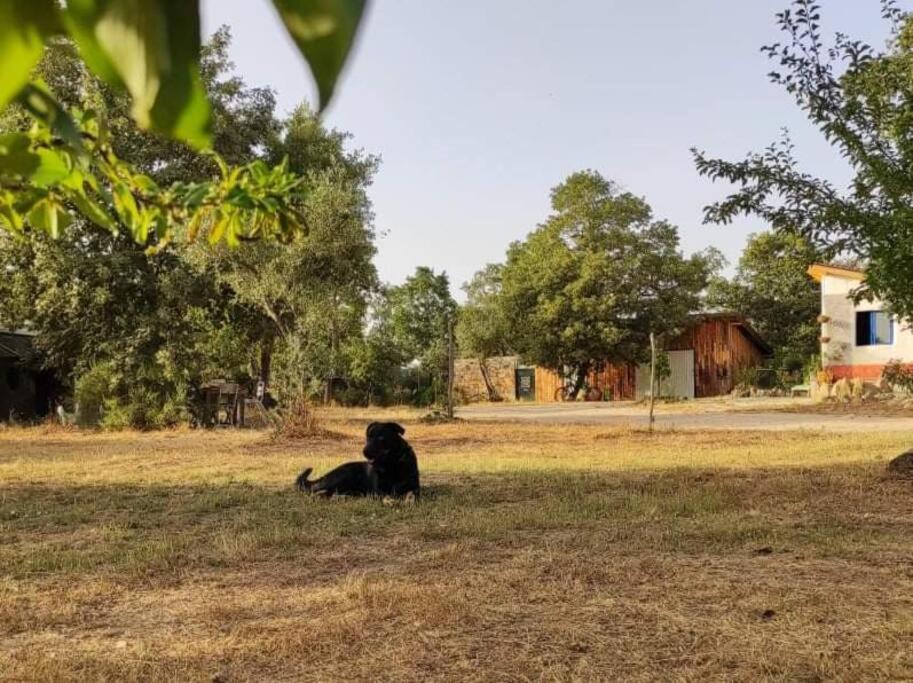Quinta Terramadome: Dome incomum & responsável
