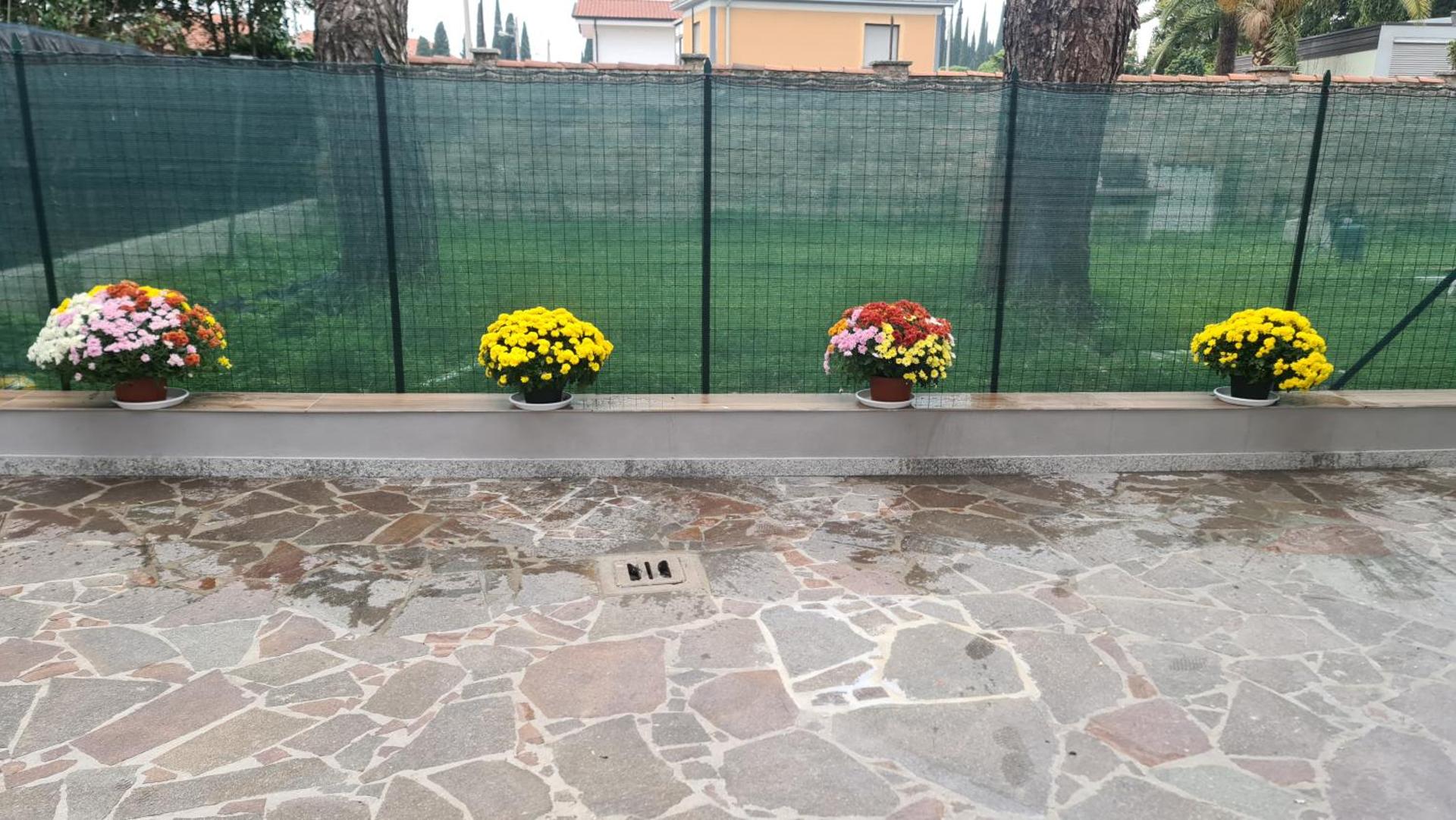 Affittacamere cosulich