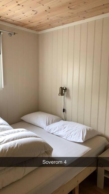 Koselig familiehytte på vakre Dagali - nær Geilo