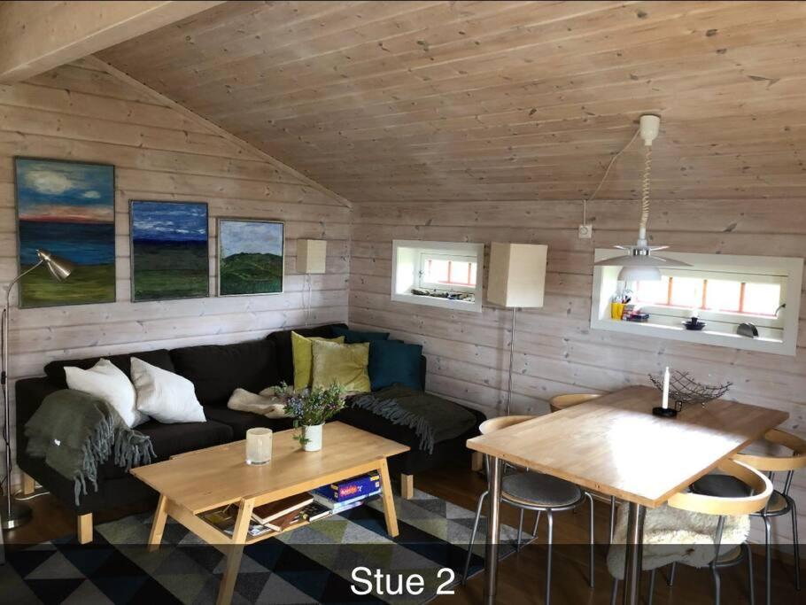 Koselig familiehytte på vakre Dagali - nær Geilo