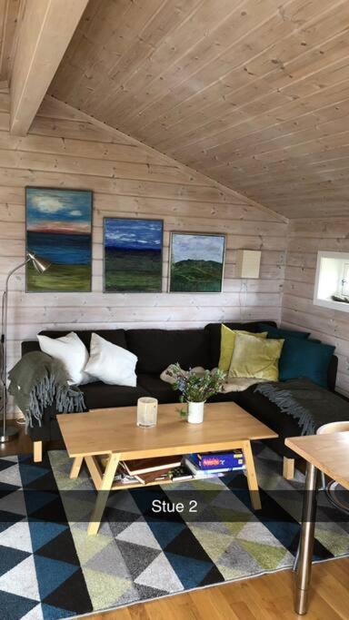 Koselig familiehytte på vakre Dagali - nær Geilo