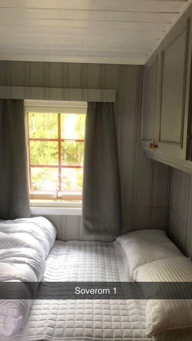 Koselig familiehytte på vakre Dagali - nær Geilo