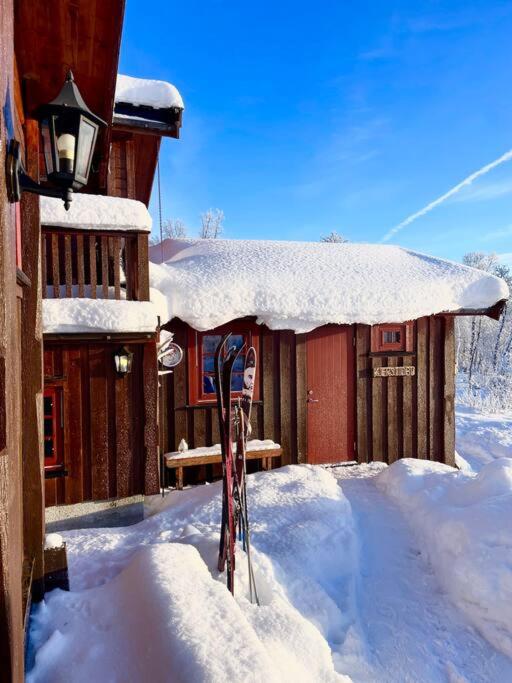 Koselig familiehytte på vakre Dagali - nær Geilo