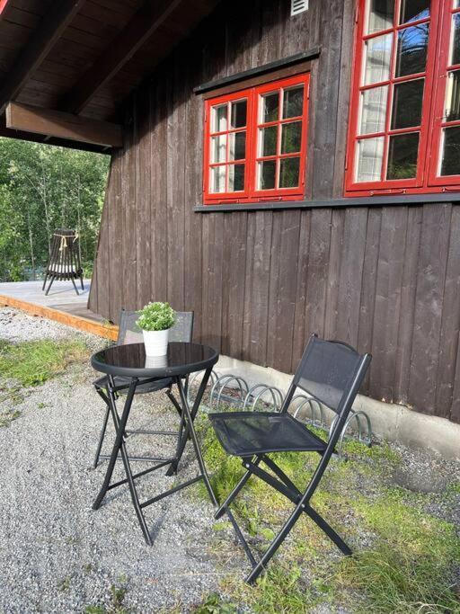 Koselig hytte med uteplas ved Hallingdalselva