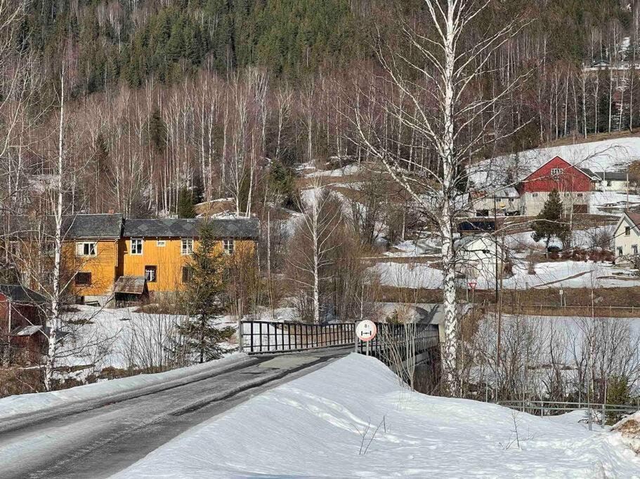 Koselig hytte med uteplas ved Hallingdalselva