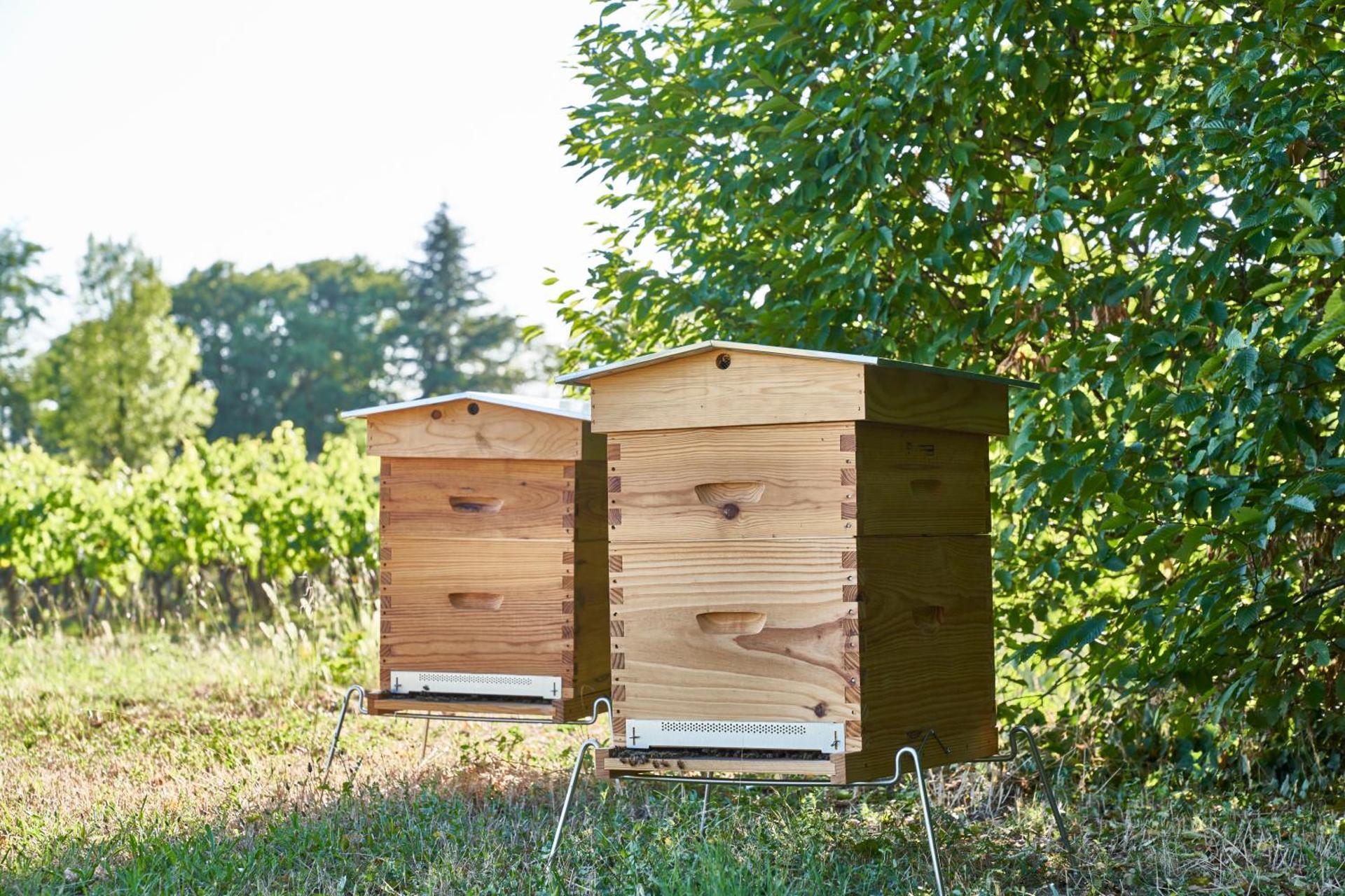 Inner courtyard view