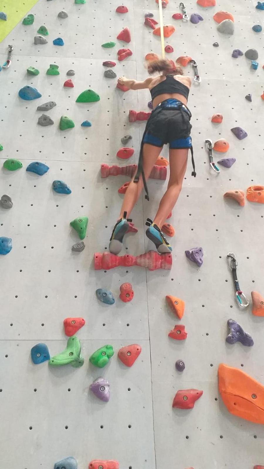 Apigîte68, proche route des vins, Vosges, Colmar et non loin d'Europa-Park!