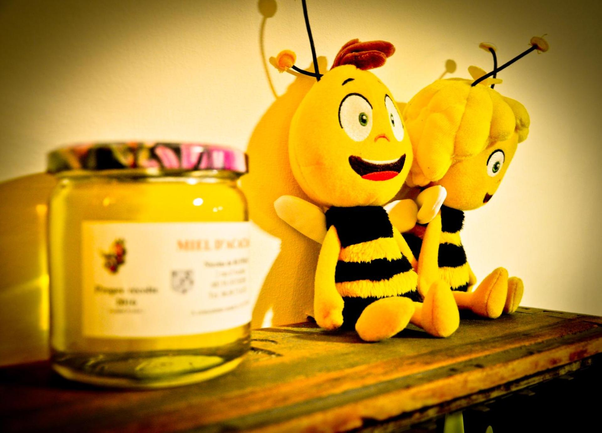 Apigîte68, proche route des vins, Vosges, Colmar et non loin d'Europa-Park!