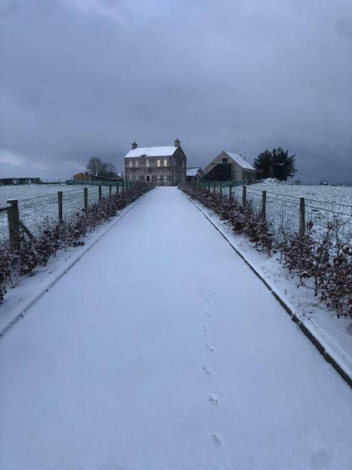 Lily’s Loft Bushmills