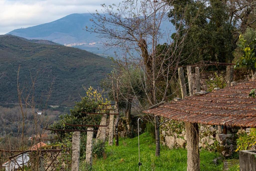 Britelo 1828 - Refúgio na Natureza