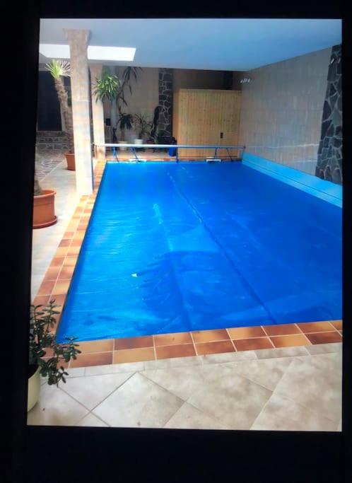 Haus Wilma Grüne Idylle im Wald direkt am See