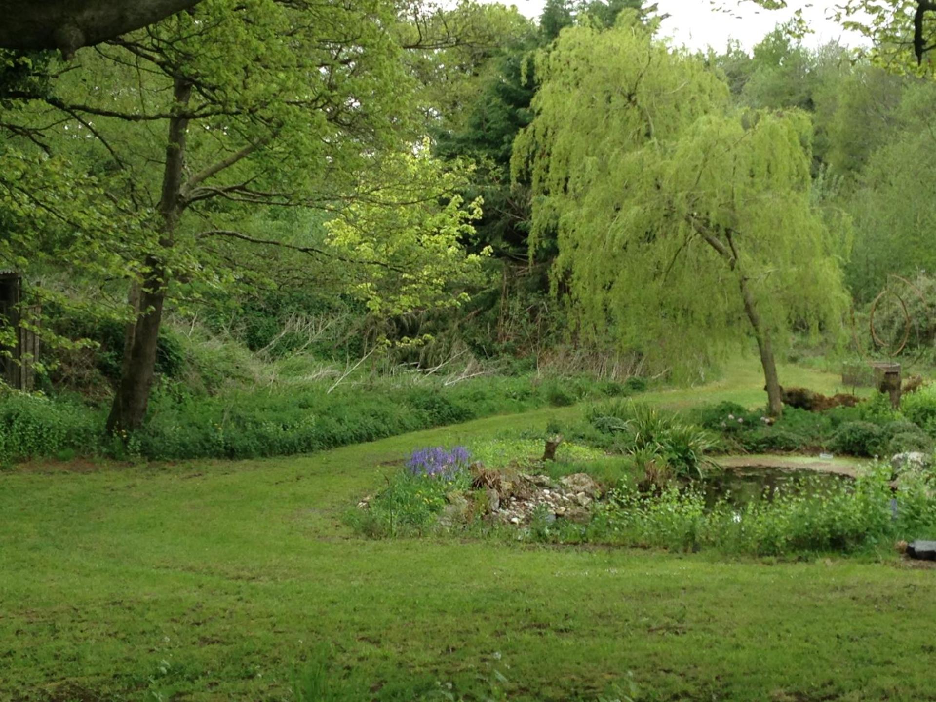 Bird House - Sleep with the Owls!