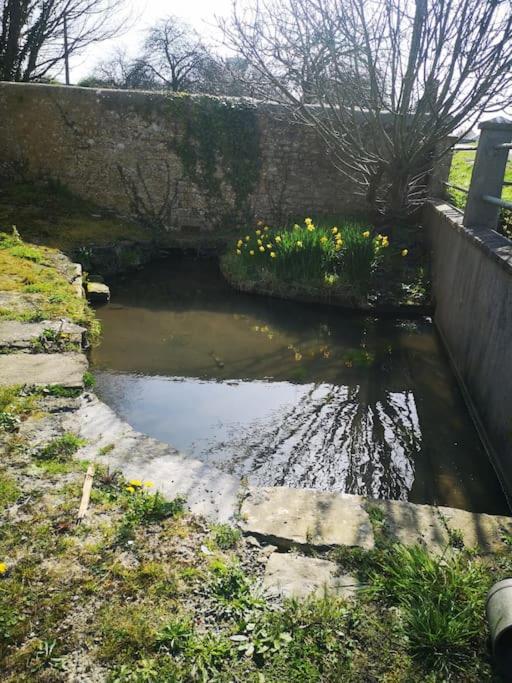 Gîte spacieux et chaleureux