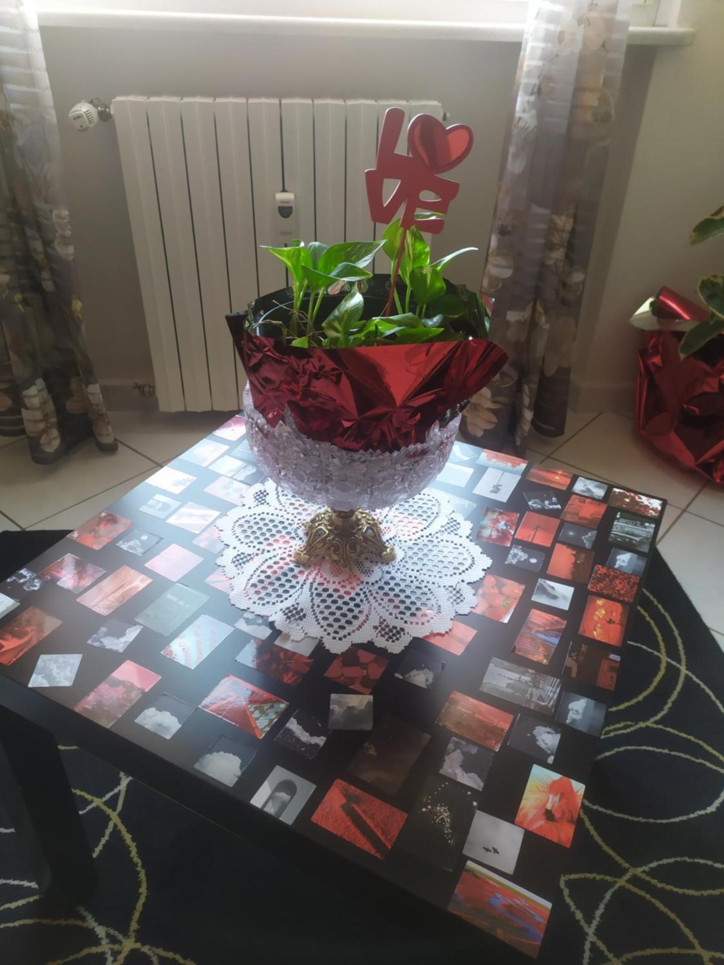 Nido delle meraviglie