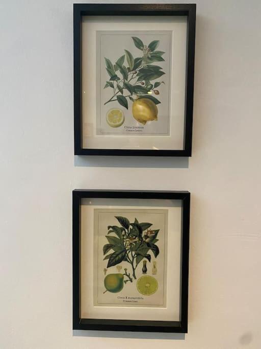 Clifton Georgian Townhouse, Downstairs Ensuite Room & Light Plant Based Breakfast