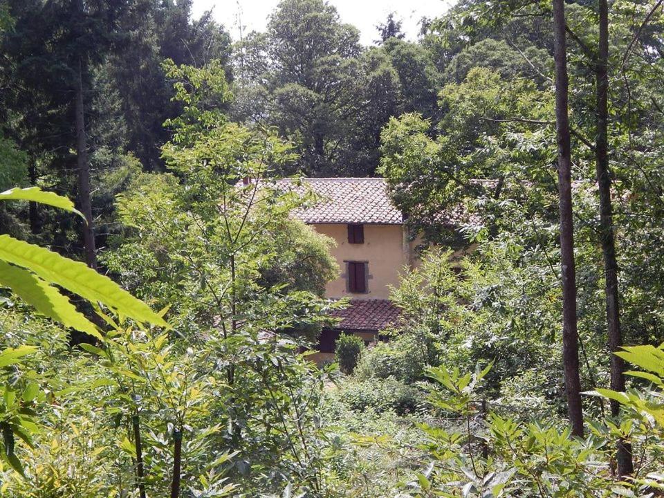 Agriturismo Fonte Magria