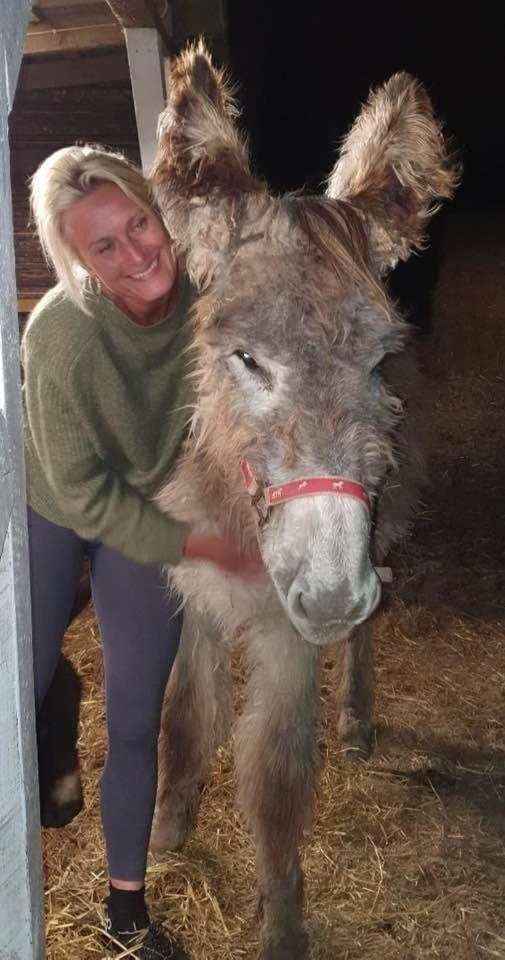 Troldegaarden Guesthouse