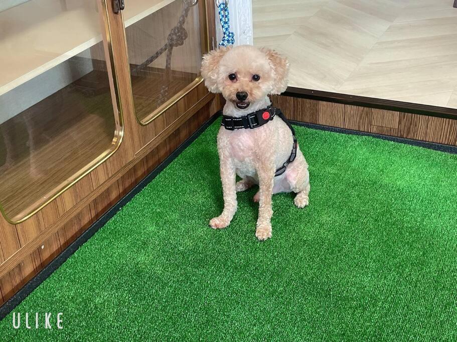 ■屋根付BBQテラスのある貸別荘■1棟貸しなので安全安心■3台分の無料駐車場完備です