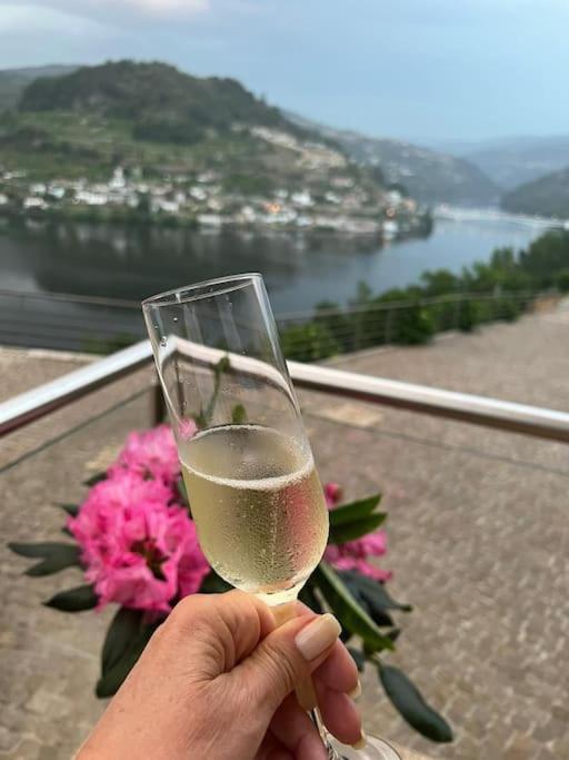 Casa das Oliveiras, o Douro no seu esplendor!