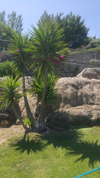 Casa das Oliveiras, o Douro no seu esplendor!