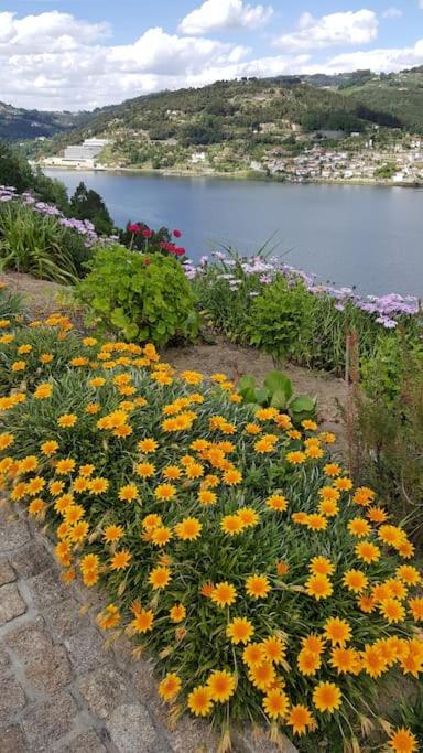 Casa das Oliveiras, o Douro no seu esplendor!