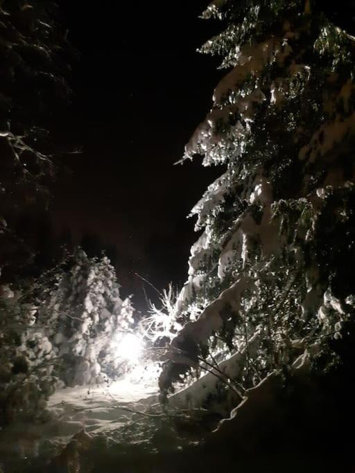 Alapihan Arboretumin vierasmaja ja sauna