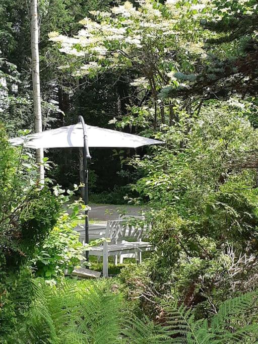 Alapihan Arboretumin vierasmaja ja sauna