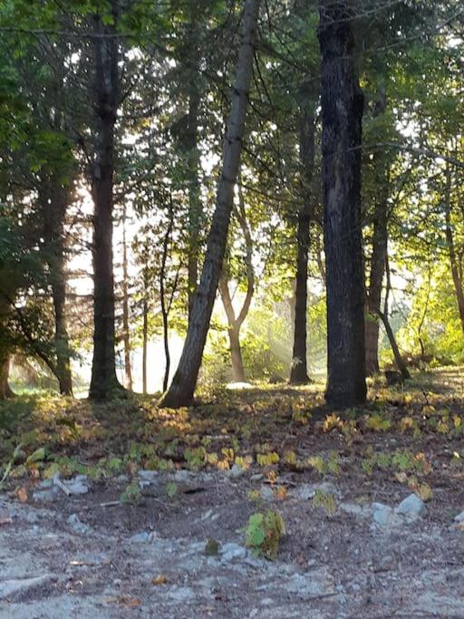 Alapihan Arboretumin vierasmaja ja sauna