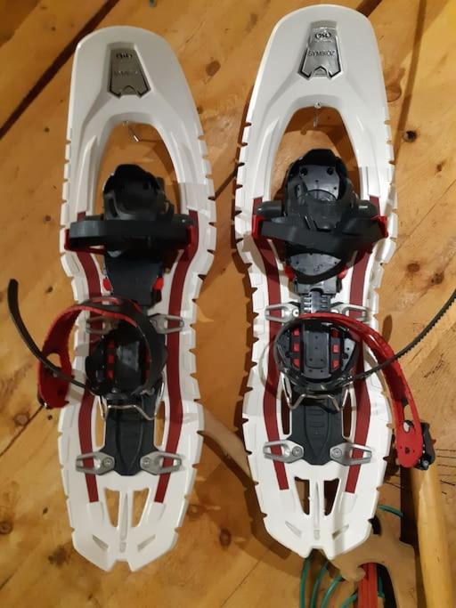 Alapihan Arboretumin vierasmaja ja sauna