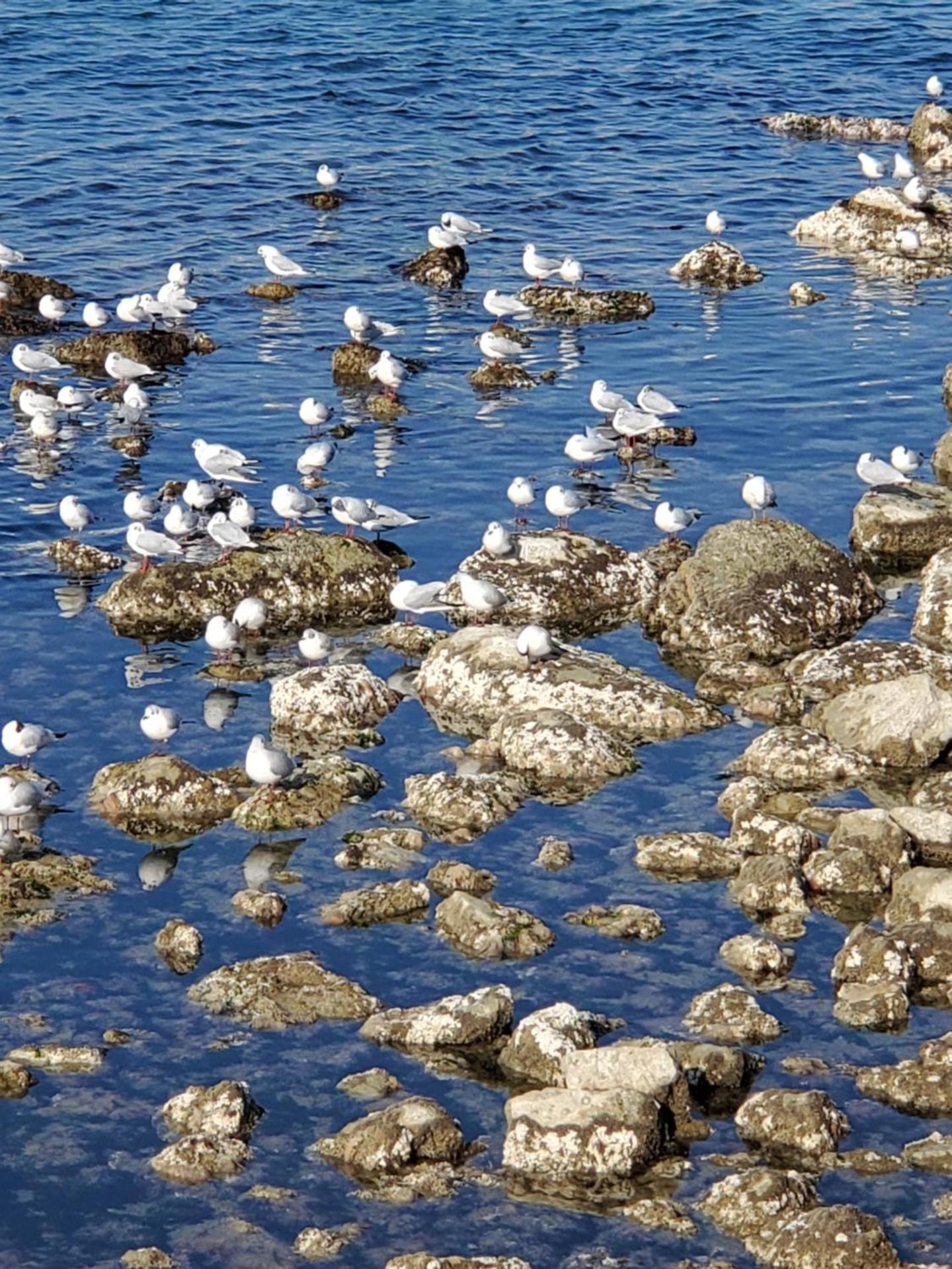 B&B Lido Apartament 10A