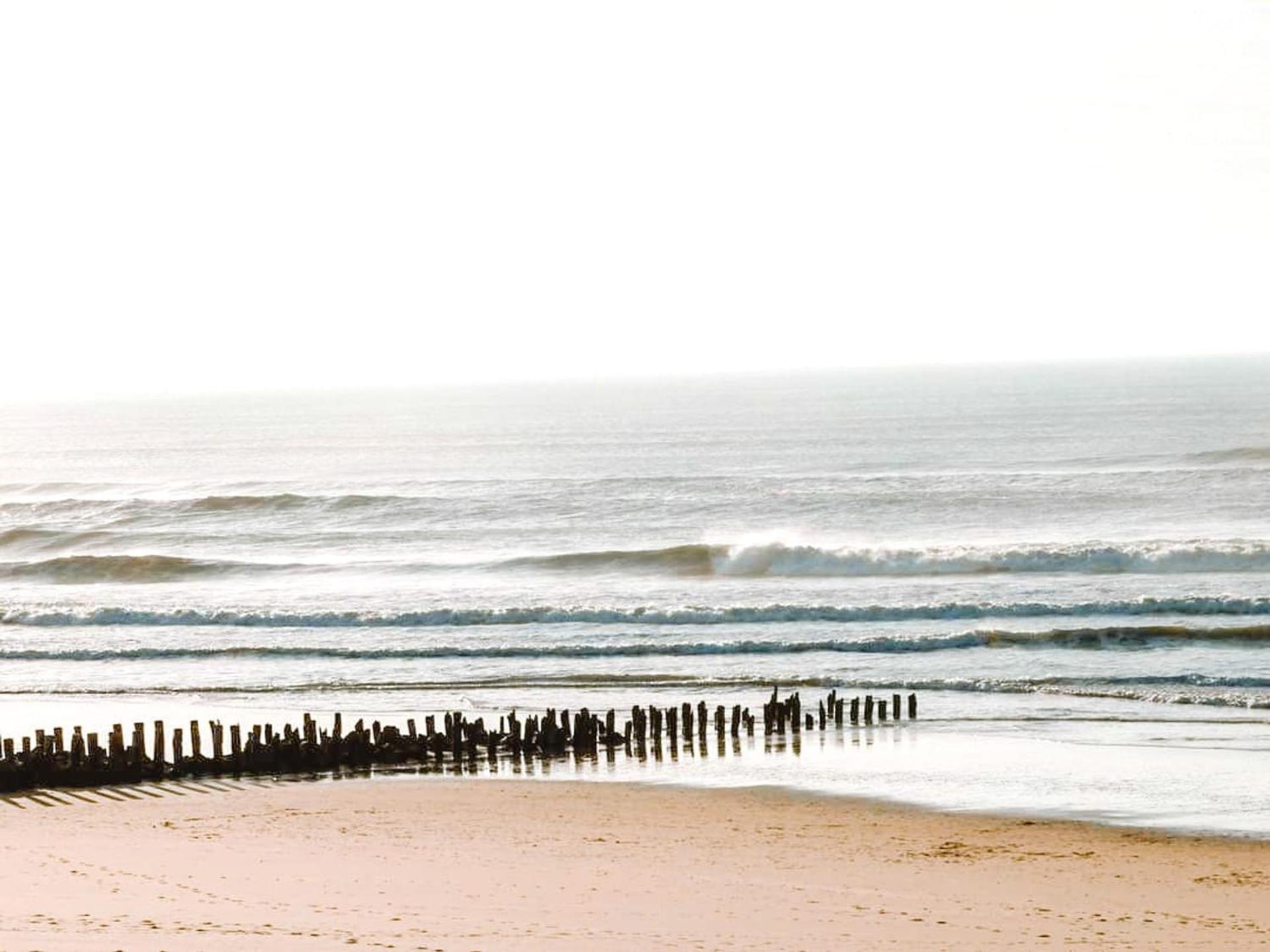 Studio rénové Seignosse, à 2 min de la plage, balcon sud, proche commerces et parc aquatique - FR-1-239-871