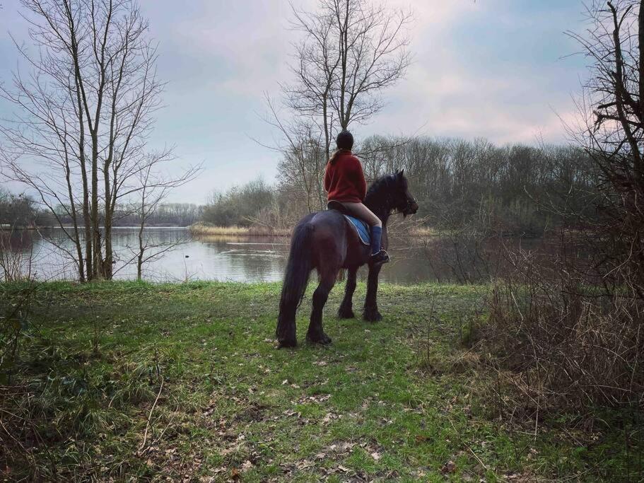 Het Tinkerparadijs, paarden, rust en ruimte.