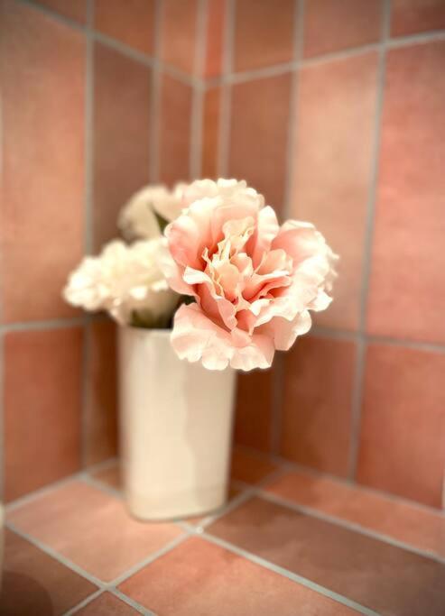 Altstadt pur!An der wunderschönen Katharinenkirche