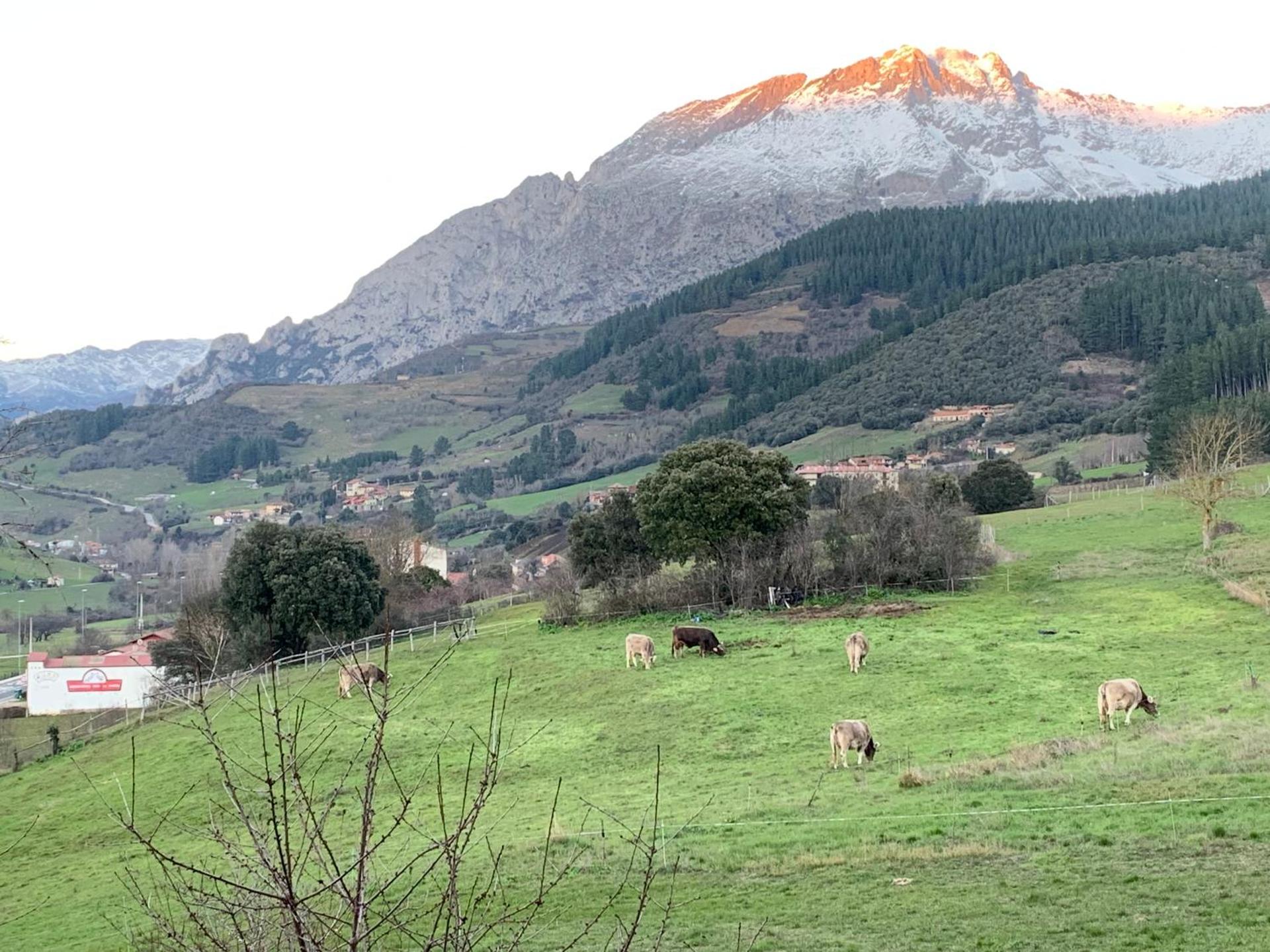 "CHALET A ESTRENAR" MIRADOR DE LA VENTOSA-Potes