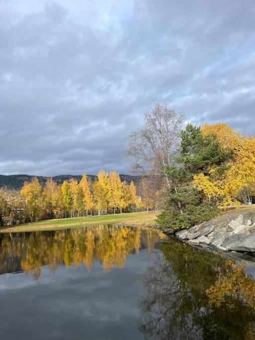 Delikat hytte omgitt av Hallingdals vakre fjell